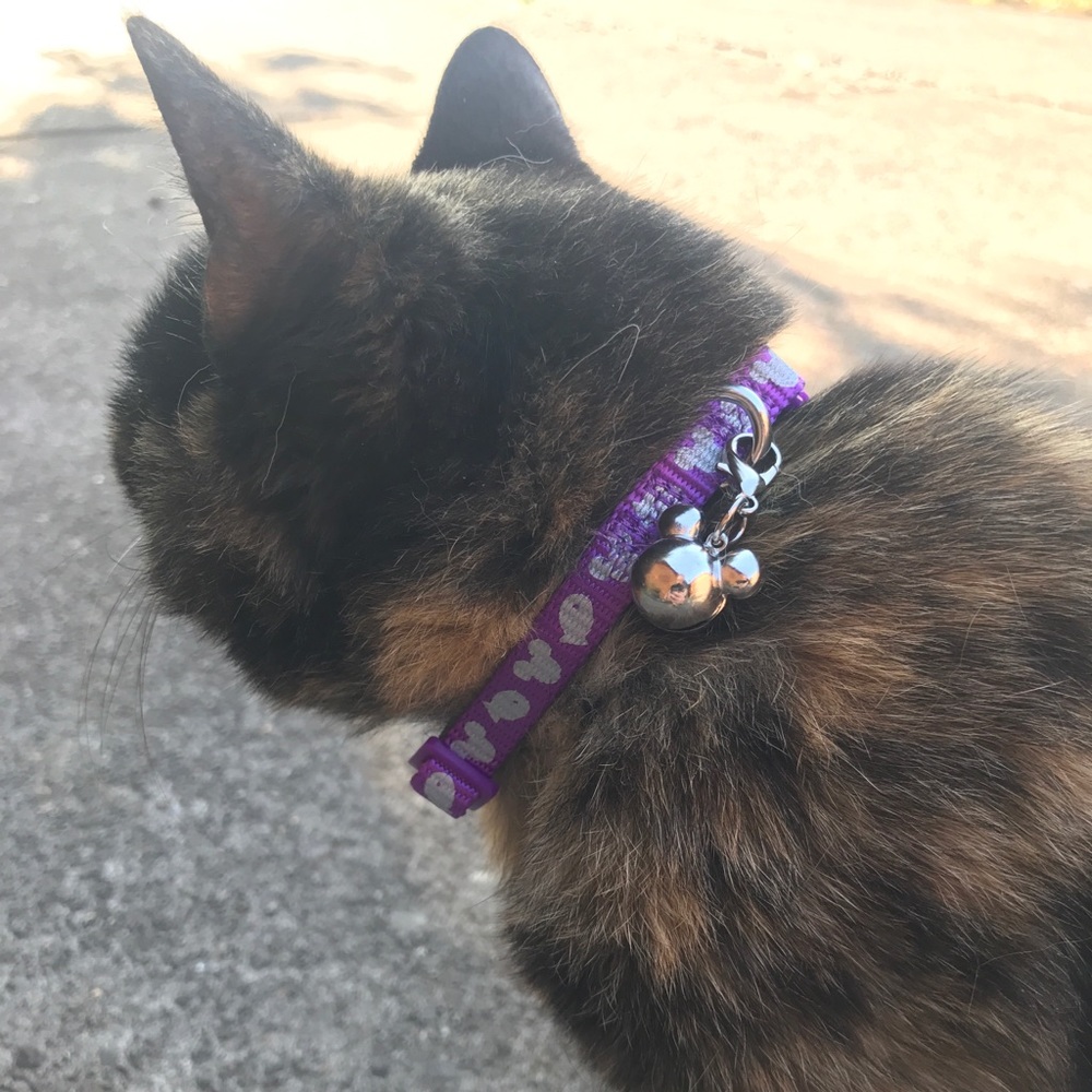 Meet your Posher, Courtney